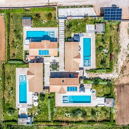 Fire Ligia